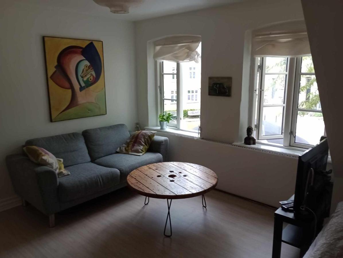 Professor Labri Apartments Оденсе Екстер'єр фото