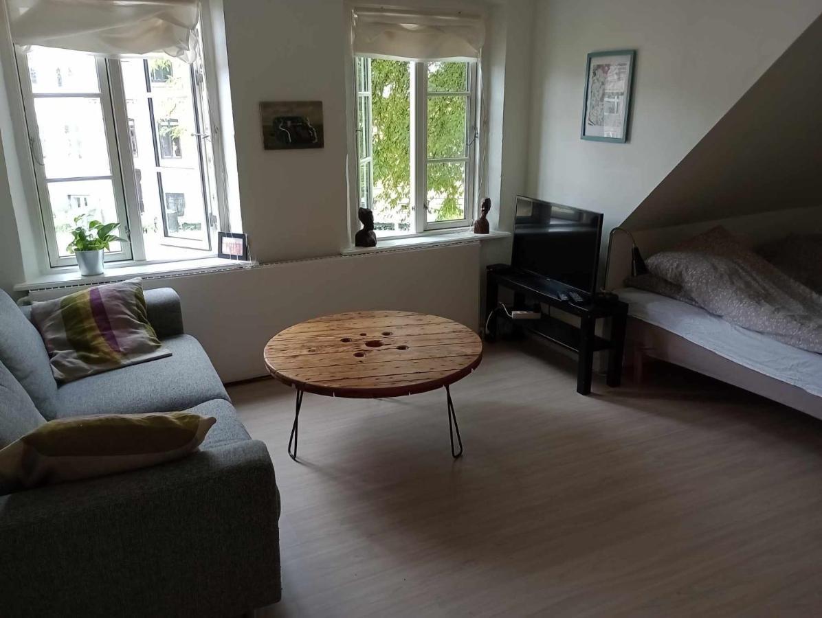 Professor Labri Apartments Оденсе Екстер'єр фото