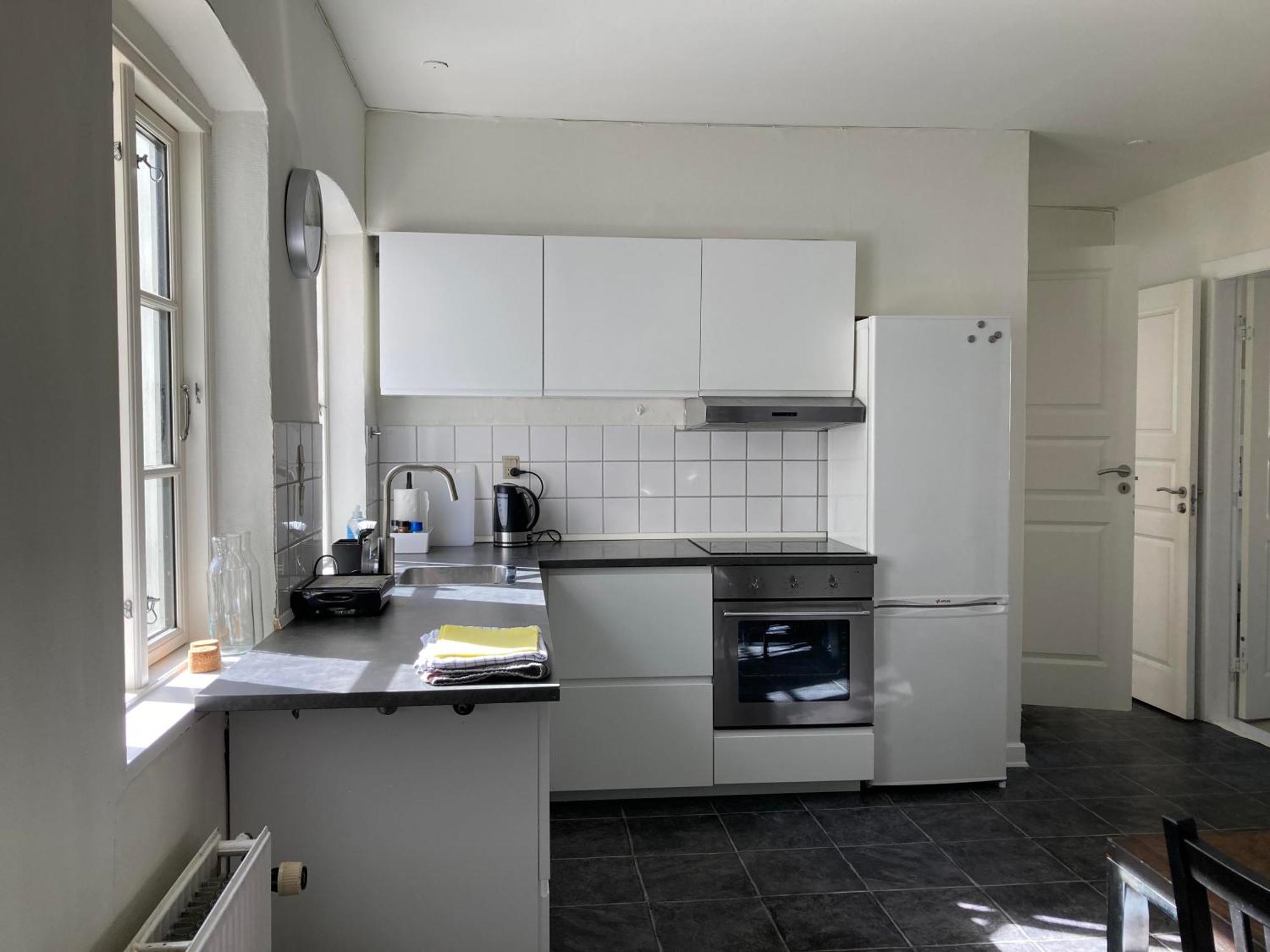 Professor Labri Apartments Оденсе Екстер'єр фото